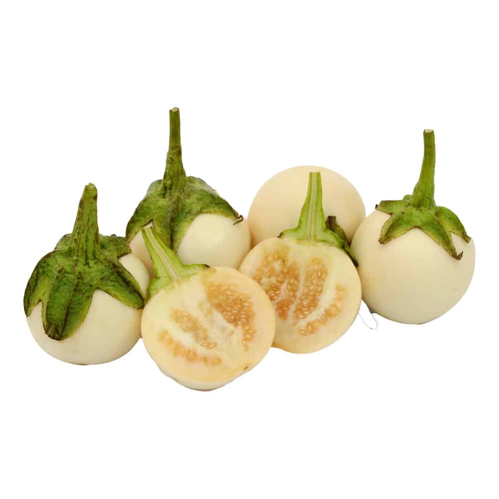 Verse Garden Egg bestellen? Good Exotic Food