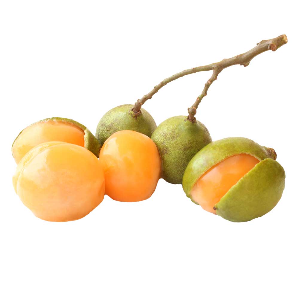 Verse Knippa bestellen? Good Exotic Food