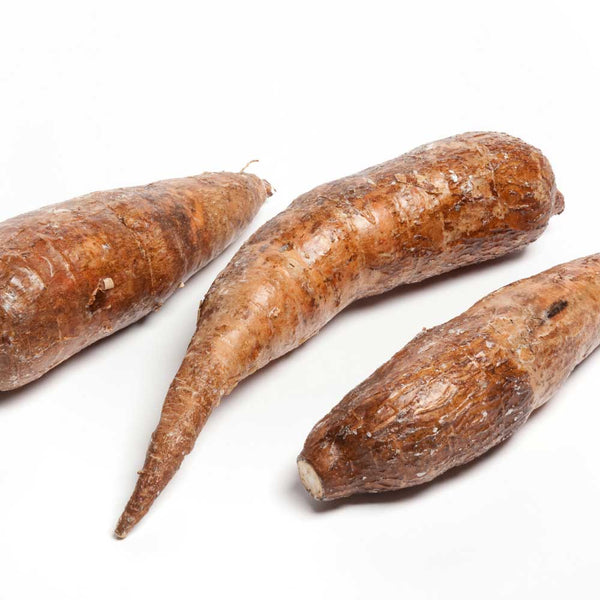 cassave, cassava, mayok