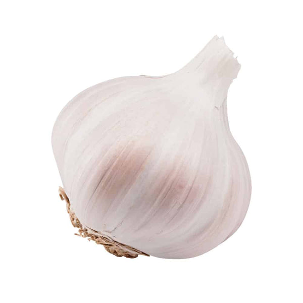 knoflook, garlic