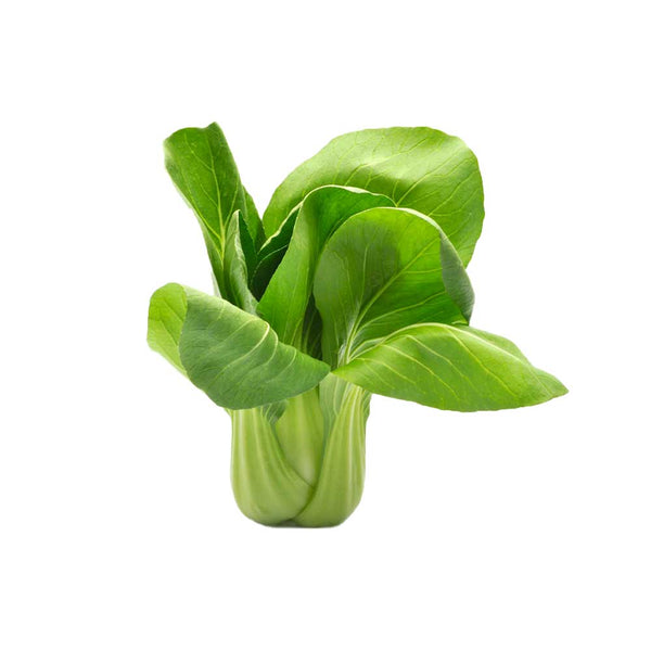 shanghai paksoi, paksoi, pakchoi