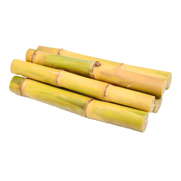 sugar cane, suikerriet